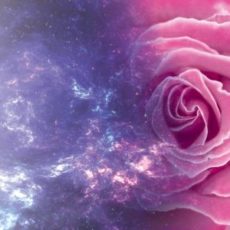 La Voie du Maitre, la voie de la Rose…Pierre Lessard